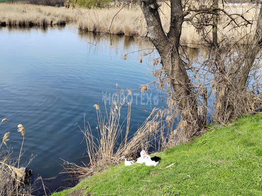 Продам дом, Колхозная ул, 37, Скобелевская ст-ца, 0 км от города