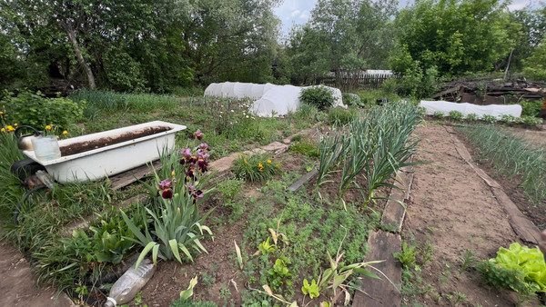 Продам участок 9,65 соток, Садоводство, Тан ул, Казань г, 0 км от города
