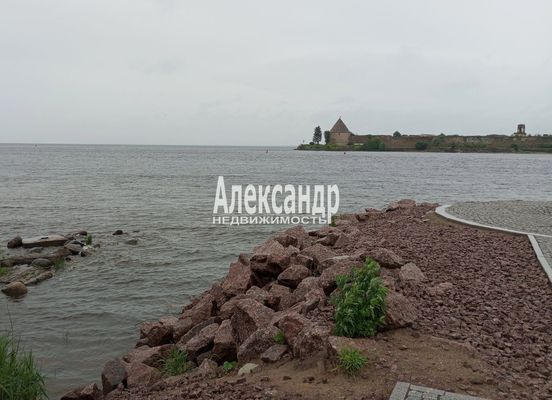 Продам дом в поселке Маяк, Березовая (Приморское тер. СНТ) ул, 10, Борисова Грива массив, 34 км от города
