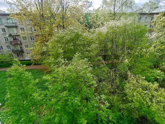 Продам двухкомнатную (2-комн.) квартиру, Гражданский пр-кт, 23к2, Санкт-Петербург г
