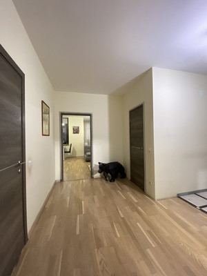 Продам трехкомнатную (3-комн.) квартиру, Заозёрная ул, 3к2, Санкт-Петербург г