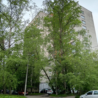 Продам однокомнатную (1-комн.) квартиру, Дачный пр-кт, 16к6, Санкт-Петербург г