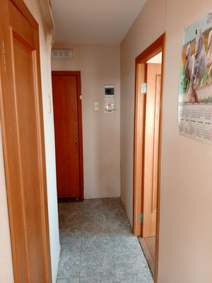 Продам однокомнатную (1-комн.) квартиру, Дачный пр-кт, 16к6, Санкт-Петербург г
