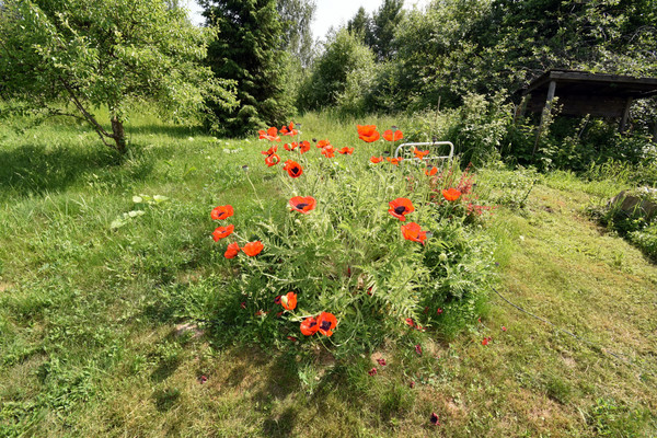 Продам дом, 2, Пруды д, 0 км от города