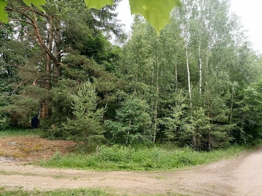 Продам участок 12 соток, ИЖС, Бусловская ул, Яшино п, 131 км от города
