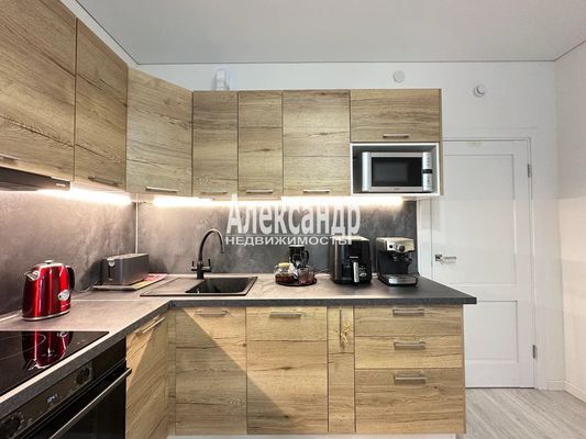 Продам однокомнатную (1-комн.) квартиру, Дальневосточный пр-кт, 19к1, Санкт-Петербург г