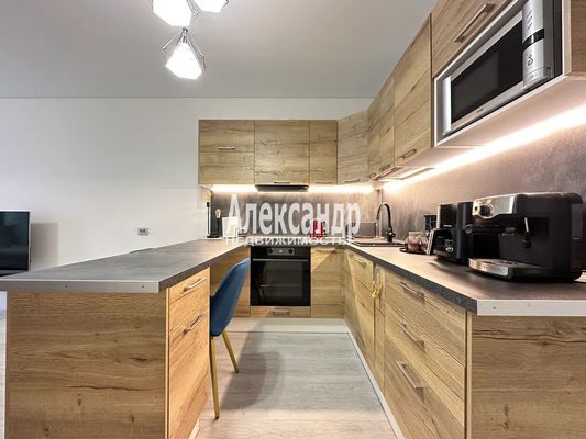 Продам однокомнатную (1-комн.) квартиру, Дальневосточный пр-кт, 19к1, Санкт-Петербург г