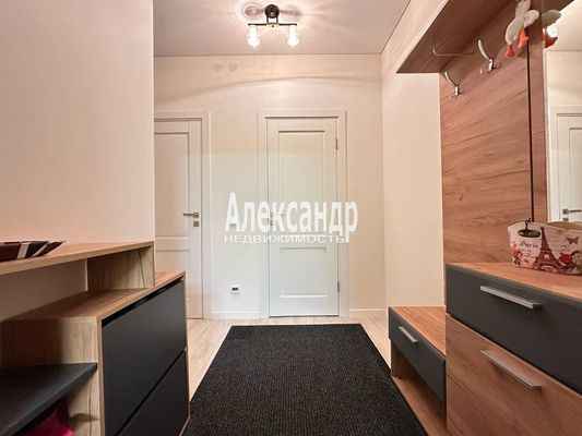 Продам однокомнатную (1-комн.) квартиру, Дальневосточный пр-кт, 19к1, Санкт-Петербург г