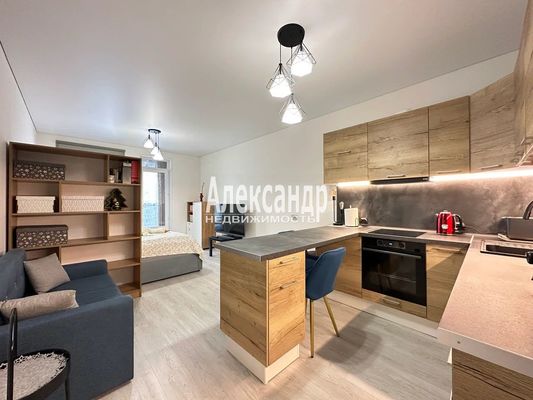 Продам однокомнатную (1-комн.) квартиру, Дальневосточный пр-кт, 19к1, Санкт-Петербург г