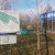 Продам участок 8,6 соток, Фермерское хоз., СНТ Клен тер, Батурово д, 0 км от города