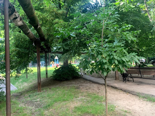 Продам двухкомнатную (2-комн.) квартиру, им. Селезнева ул, 120, Краснодар г