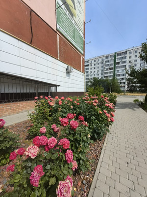Продам однокомнатную (1-комн.) квартиру, Западный пер, 1, Волгодонск г