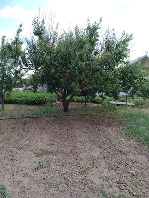 Продам дом, Деревенского ул, 6, Гашун х, 0 км от города