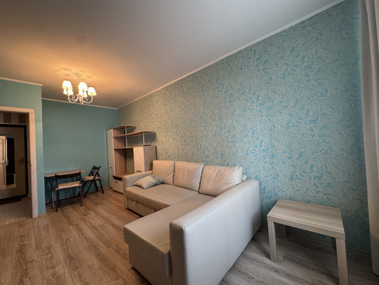 Продам однокомнатную (1-комн.) квартиру, Новгородский пр-кт, 10А, Шушары п