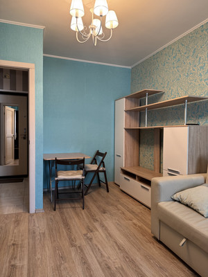 Продам однокомнатную (1-комн.) квартиру, Новгородский пр-кт, 10А, Шушары п