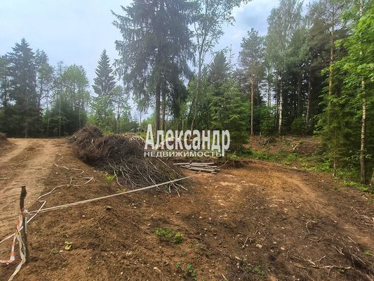 Продам участок 8,4 соток, ИЖС, Дачная ул, Вартемяги д, 13 км от города
