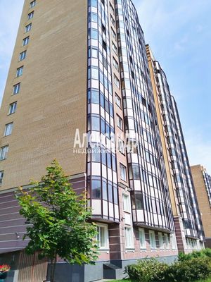 Продам однокомнатную (1-комн.) квартиру, Арсенальная ул, 2, Новое Девяткино д