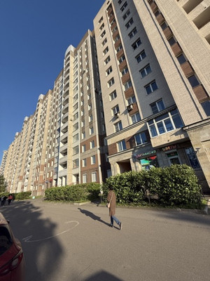 Продам однокомнатную (1-комн.) квартиру, Ветеранов пр-кт, 130А, Санкт-Петербург г