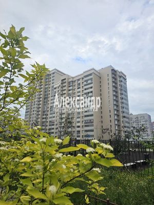 Продам однокомнатную (1-комн.) квартиру, Петровский б-р, 5, Мурино п