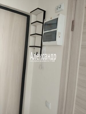 Сдам однокомнатную (1-комн.) квартиру, Муринская дор, 8к4, Санкт-Петербург г