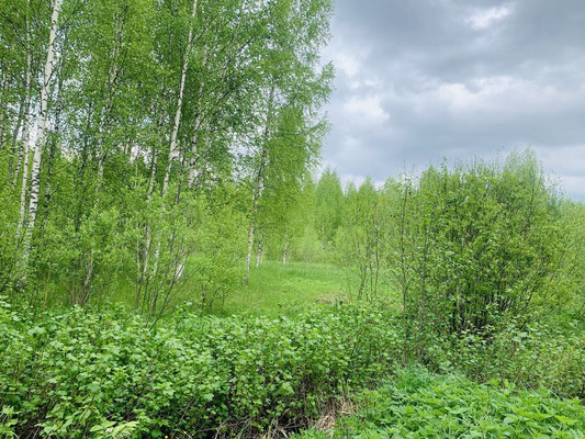 Продам участок 5 соток, Фермерское хоз., Путилово с, 0 км от города