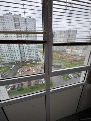 Сдам однокомнатную (1-комн.) квартиру, Муринская дор, 8к2, Санкт-Петербург г