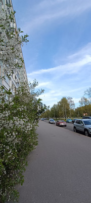 Продам двухкомнатную (2-комн.) квартиру, Северный пр-кт, 24к1, Санкт-Петербург г