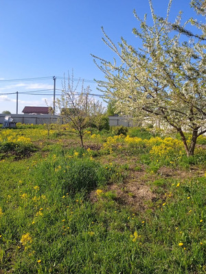 Продам участок 25 соток, ИЖС, Никоновское с, 0 км от города