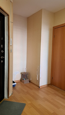 Продам однокомнатную (1-комн.) квартиру, Николая Рубцова ул, 3, Парголово п