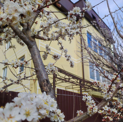 Продам однокомнатную (1-комн.) квартиру, Зеркальная ул, 41, Супсех с