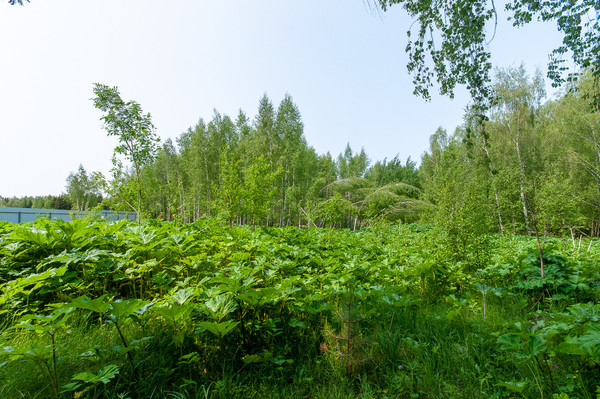 Продам дом, 3/4, Овсянниково п, 0 км от города