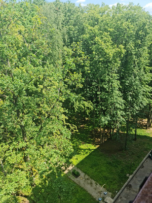 Продам однокомнатную (1-комн.) квартиру, Варшавское ш, 78, Бородино д