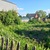 Продам участок 3 соток, ДНП, Виктория тер. СНТ, Новосибирск г, 0 км от города