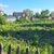 Продам участок 3 соток, ДНП, Виктория тер. СНТ, Новосибирск г, 0 км от города