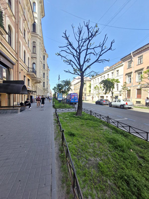 Продам комнату в 8-комн. квартире, Маяковского ул, 34А, Санкт-Петербург г