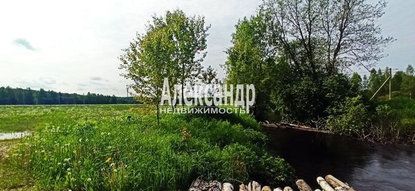 Продам участок 260 соток, Фермерское хоз., Бор п, 70 км от города