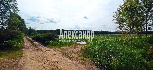 Продам участок 260 соток, Фермерское хоз., Бор п, 70 км от города