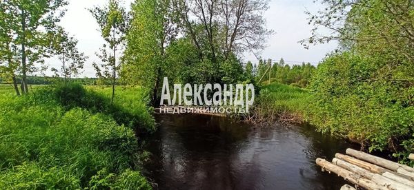 Продам участок 260 соток, Фермерское хоз., Бор п, 70 км от города