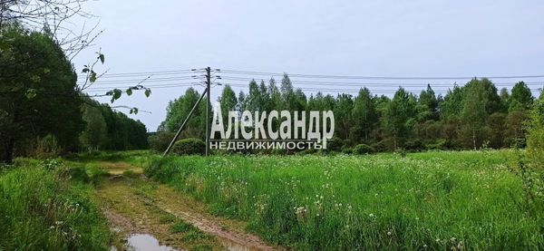 Продам участок 260 соток, Фермерское хоз., Бор п, 70 км от города