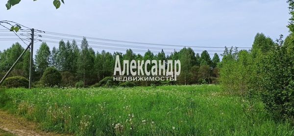 Продам участок 260 соток, Фермерское хоз., Бор п, 70 км от города
