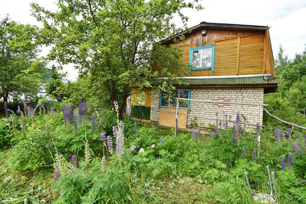 Продам дачу, сектор В (Ягодное тер. СНТ) ул, 529, Ягодное д, 0 км от города