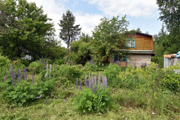 Продам дачу, сектор В (Ягодное тер. СНТ) ул, 529, Ягодное д, 0 км от города