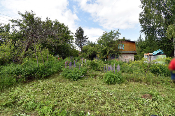 Продам дачу, сектор В (Ягодное тер. СНТ) ул, 529, Ягодное д, 0 км от города