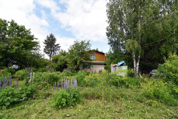 Продам дачу, сектор В (Ягодное тер. СНТ) ул, 529, Ягодное д, 0 км от города