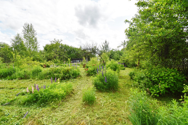 Продам дачу, сектор В (Ягодное тер. СНТ) ул, 529, Ягодное д, 0 км от города