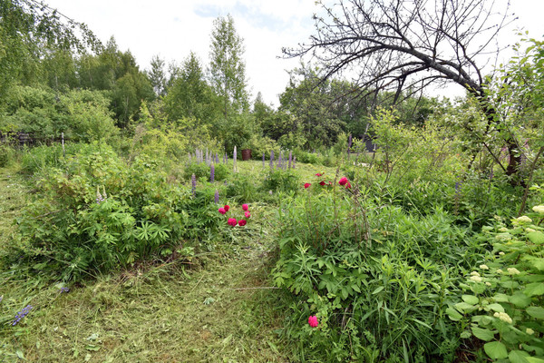 Продам дачу, сектор В (Ягодное тер. СНТ) ул, 529, Ягодное д, 0 км от города