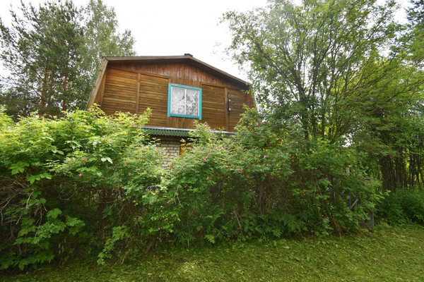 Продам дачу, сектор В (Ягодное тер. СНТ) ул, 529, Ягодное д, 0 км от города