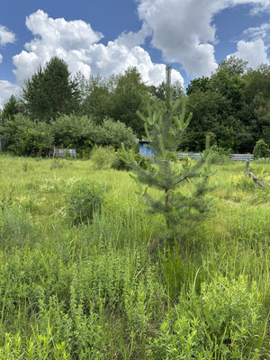 Продам участок 15 соток, ИЖС, Сурская ул, 8, Муравьевка п, 0 км от города