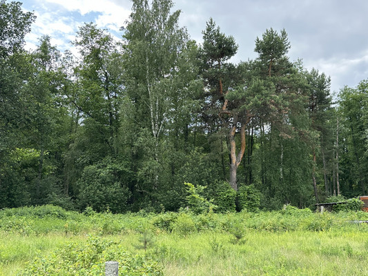 Продам участок 15 соток, ИЖС, Сурская ул, 8, Муравьевка п, 0 км от города