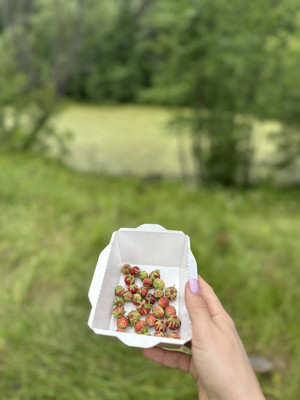 Продам участок 15 соток, ИЖС, Сурская ул, 8, Муравьевка п, 0 км от города